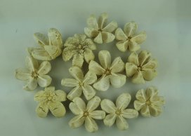  KARTUSH STAR FLOWER kwiatki wybielane 7-10 cm, 12 szt w opakowaniu