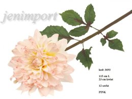 CHRYZANTEMA DALIA 115 CM PINK-FRESH TOUCH 
