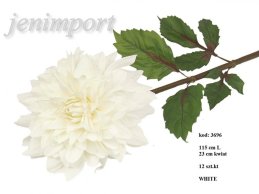 CHRYZANTEMA DALIA 115 CM WHITE- FRESH TOUCH 