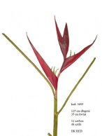 HELICONIA 125 CM DK.RED FRESH TOUCH 