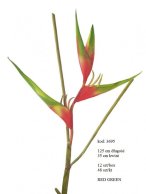 HELICONIA 125 CM RED -GREEN FRESH TOUCH