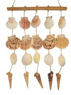 SHELL CURTAIN 20 PC - 40 CM