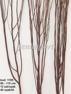 WHITE LADY 12 PC/PB COFFEE BROWN 80-115 CM  