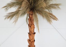 KORA PALMY 1 kg NATURALNA duże grube płaty do produkcji palm 110 cm