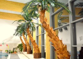 KORA PALMY 1 kg NATURALNA duże grube płaty do produkcji palm 110 cm