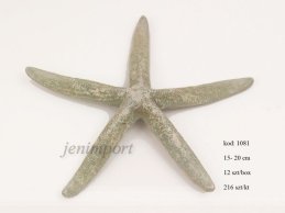 STARFISH BIG  15 - 20 CM