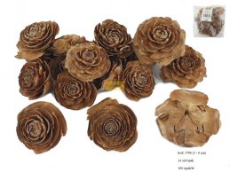 CEDAR ROSE 3-6 CM NATURAL  24 PC/PB 