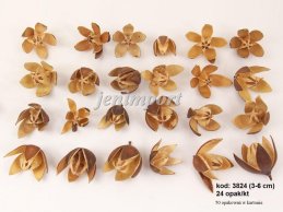 LILY 3-6 CM SMALL NATURALNA 24 SZT/OPAK