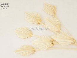 PALM SPEAR MINI 8-10 CM DIAMETER   BLEACH 12 PC/ PB 