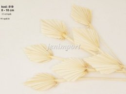 PALM SPEAR MINI 8-10 CM DIAMETER   BLEACH 12 PC/ PB 