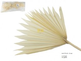 PALM SUN 20-30 CM  BIELONE 6 SZT / OPAK 