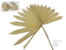 PALM SUN 30-35 CM  NATURAL  6 PC/PB 