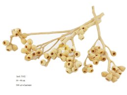 AMBERNUT BRANCH BLEACHED 30-40 CM