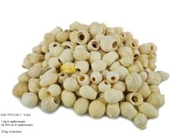 BELLGUMS 3-5 CM  BLEACHED  250 GRAM / OPAK