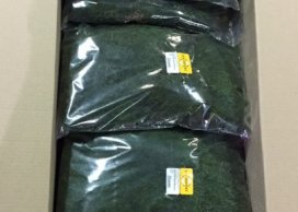 MECH ZIELONY KONSERWOWANY 250g/opak