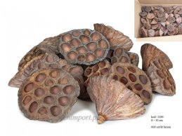 LOTOS 8 - 10 CM LARGE LUZ 500 sztuk w kartonie