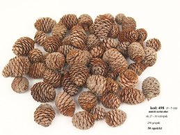 MUIRII 4-5 cm szyszeczki NATURALNE 250g/opak, (ok 40 sztuk/opak)