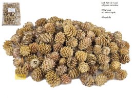 SALIGNUM naturalne 2-3 cm 250g/opak (ok 160 szt/opak)