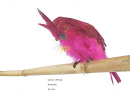 FEATHER PARROT 15 CM PINK FUKSIA 