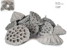 LOTUS + 10 CM EXTRA LARGE GREY 12 PC/PB 