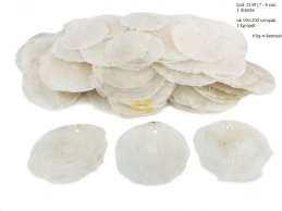 MUSZLE CAPIZ 7-8 cm z 1 dziurką, 1 kg (ok 190 - 200 szt)
