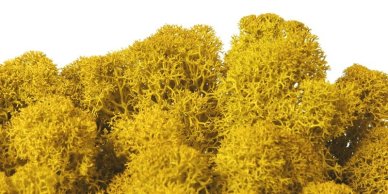 MOSS PRESERVED 250 G/PB YELLOW LIGHT