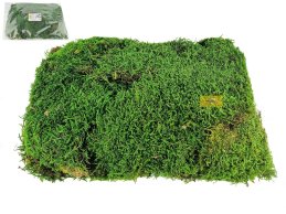 MECH ZIELONY KONSERWOWANY 250 GRAM/OPAK