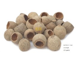 GAURI CUP  3-4 cm MIX 24 SZT/OPAK NATURAL 