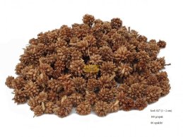 STAR FLOWER 1-2 cm NATURAL 100 GRAM / OPAKOWANIE