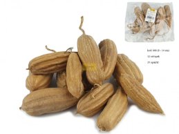 MOND CAPSUL WITH DRIED SEEDS RATTLING  12 PC/PB  8-14 cm NATRUAL
