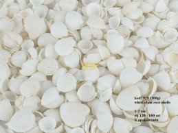 WHITE CLAM ROSE SHELLS 100g, 1-3 cm (130 - 160 pc)