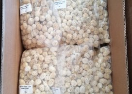 MERIDIANUM BIELONE 2-3 CM 1 KG/OPAK ok - 440-450 szt.