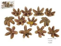 KARTUSH STAR FLOWER 7-10 CM-D     12 PC / PB