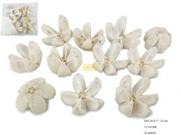 KARTUSH STAR FLOWER 7-10 CM-D BLEACH 12 PC / PB