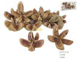 KARTUSH STAR FLOWER 5-7 CM-D NATRUAL 12 PC / PB