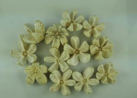  KARTUSH STAR FLOWER 5-7 CM-D BLEACH 12 PC / PB