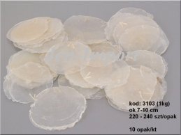 MUSZLE Z MAŁŻY capiz  7-10 cm 1KG -220-240 SZT.