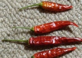 Chilli pepper short  red 4-7 cm 250g/pb around 420 - 430 pc