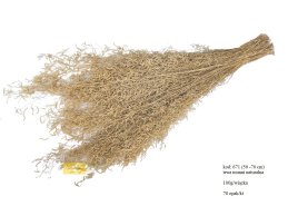 Trawa Munni grass naturalna 100 gram/wiązka.