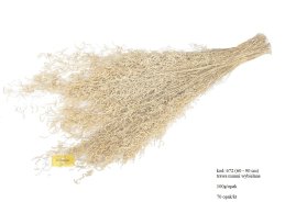 Trawa Munni grass bielona 100 gram/wiązka.