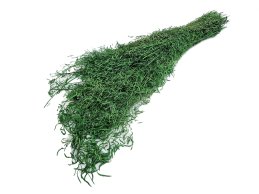 Munni grass apple green color 100 gram/bdle