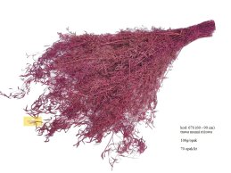 Trawa Munni grass różowa 100 gram/wiązka.