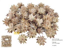 PLUMOSUM 4-5 cm naturalne głowki 250g/opak, ok 50-60 szt/opak