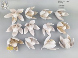 LILY 4-7 cm BIAŁA 12 SZT/OPAK