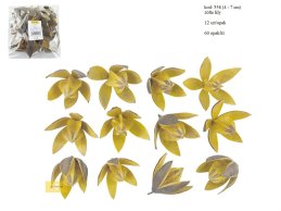 LILY 4-7 cm ŻÓŁTA 12 SZT/OPAK