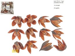 LILY 4-7 cm POMARAŃCZOWA 12 SZT/OPAK