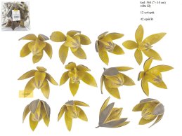 LILY 7-10 cm ŻÓŁTA 12 SZT/OPAK