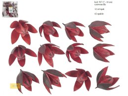 LILY 7-10  cm CZERWONA 12 SZT/OPAK