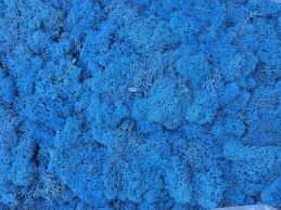 MECH RENIFERKOWY NIEBIESKI  200 g/opak