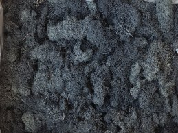 MECH RENIFERKOWY CZARNY JASNY 200 g/opak